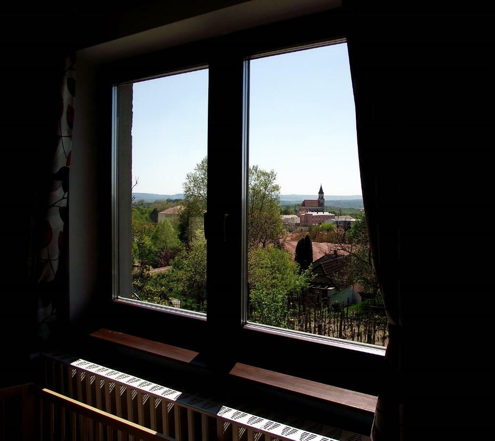 Panorama Apartman Mór Exteriér fotografie